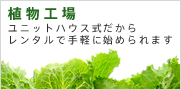 植物工場