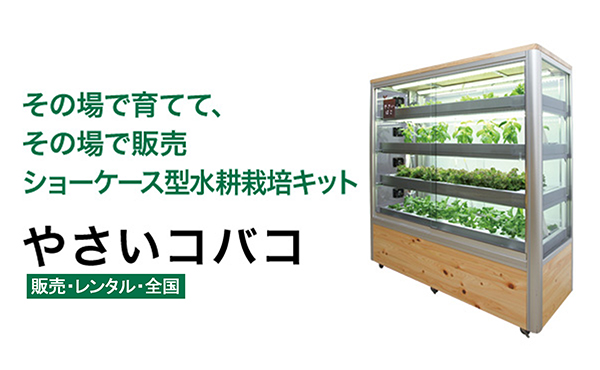 その場で育てて、その場で販売 ショーケース型水耕栽培キット「やさいコバコ」