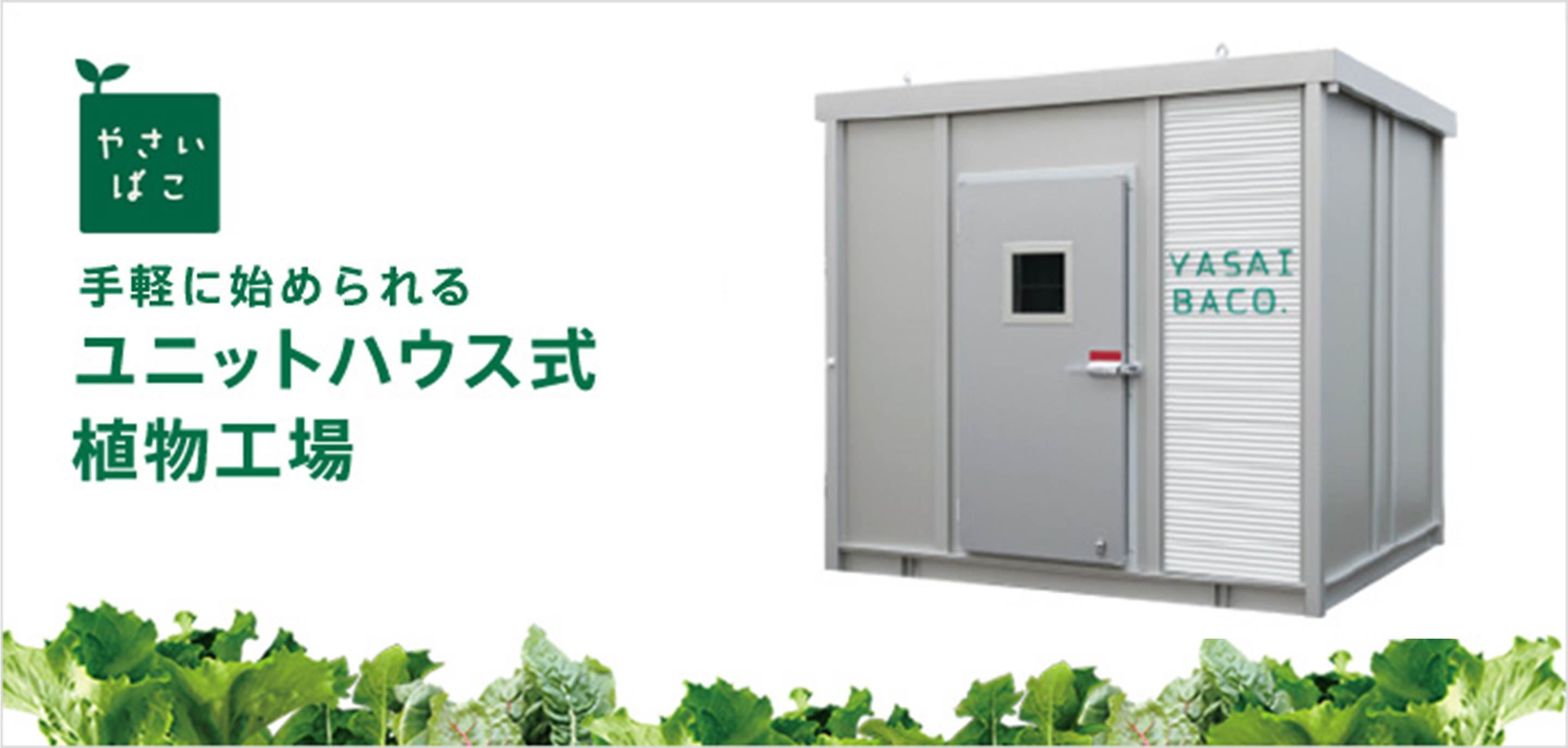 手軽に始められるユニットハウス式植物工場
